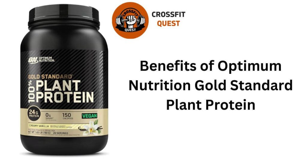 Benefits of Optimum Nutrition Gold Standard Plant Protein