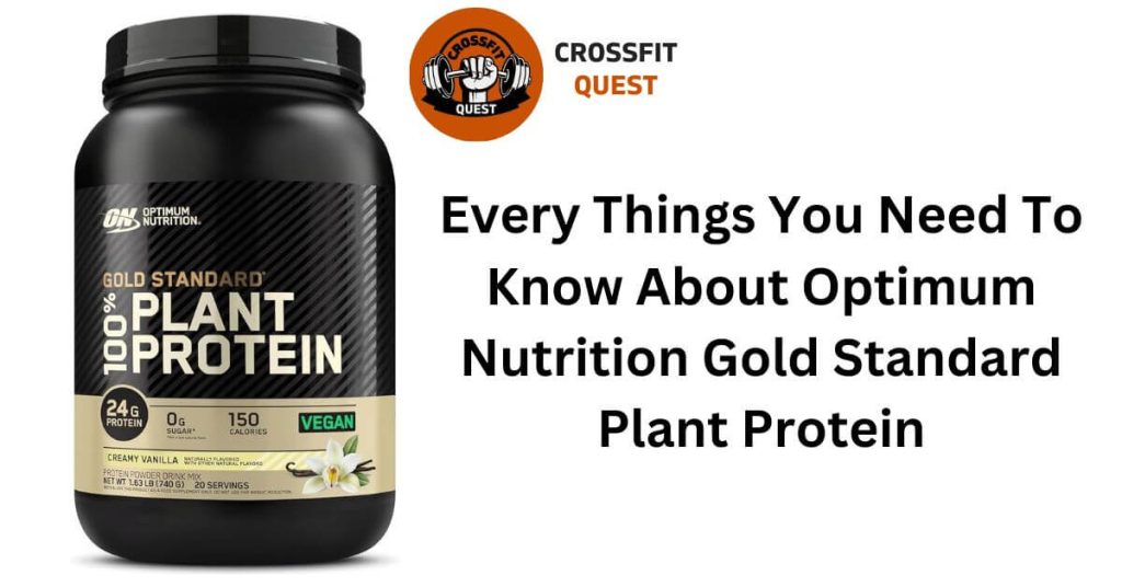 Every Things You Need To Know About Optimum Nutrition Gold Standard Plant Protein