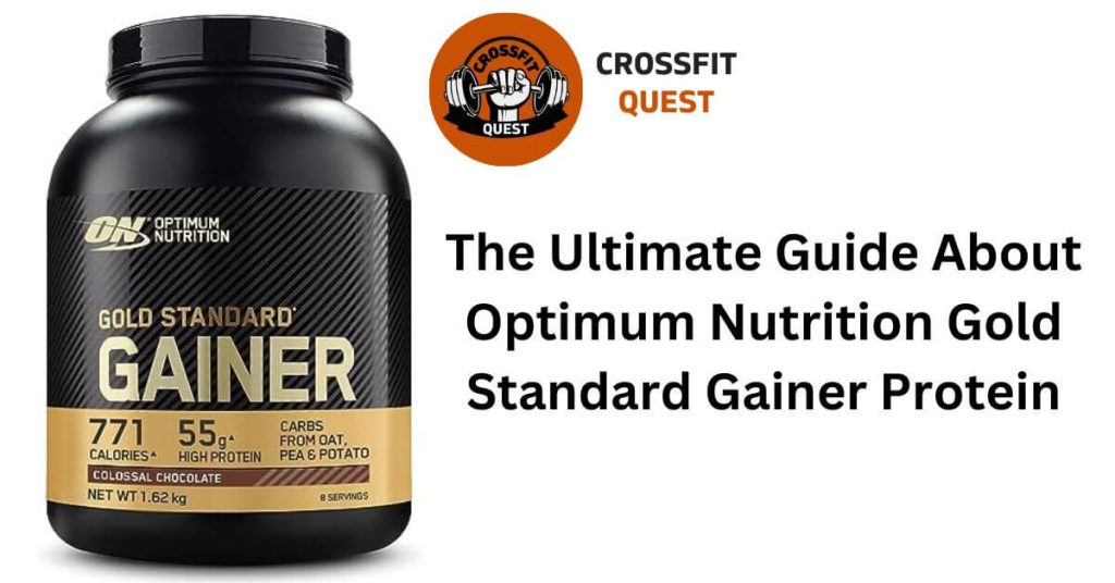 The Ultimate Guide About Optimum Nutrition Gold Standard Gainer Protein
